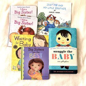 Big Sister Books BUNDLE